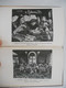Delcampe - DE ZUIDNEDERLANDSCHE SCHILDERS IN HET BUITENLAND 1450 à 1600 Door H. Devogelaere  Illustraties De Seizoenen 52 - Histoire