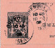 Delcampe - Entier Postal 1905 Grenoble Isère Type Sage Allemagne Nurtingen Würtenberg - Cartes-lettres
