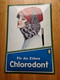 Email-Schild „Chlorodont“ Ca. 40 X 60 Cm, Replik, Sehr Guter Zustand - Emailschilder (ab 1960)