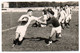 Photo RUGBY TARBES : Action De Jeu, Match Oloron - Stado, Le 4 -10 - 42, Dimensions Carte Photo. - Rugby