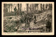 GUERRE 14/18 - CONSTRUCTION D'UNE TRANCHEE SOUS BOIS - Oorlog 1914-18