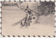 5AH1977 PLAISIRS D'HIVER SORTIE D'ECOLE ENFANTS NEIGE LUGE 1905 2 SCANS - Regional Games