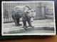 Zoo, Dierenpark, Tierpark / 4 Kaarten Van Zoo Van Antwerpen (zie Foto's) Lot 6 - Otros & Sin Clasificación