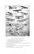 Delcampe - Military Aeroplanes - Loening, Grover C. - (1918) (Original Edition) - Guerra 1914-18