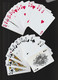 JEU DE  CARTES  NEUF DANS ETUI  / 2 JOKERS /  100%  PLASTIQUE - 54 Cards