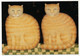 Delcampe - 7 CPM - CHATS Série POEZEN - 7 Cartes Diverses, Neuves Et SUP - Katzen