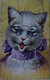 Illustrator Arthur Thiele // Humanised Dressed Cat - Katze Used USA 1909 RARE - Thiele, Arthur