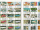 Phonecard Catalogue, New Zealand, 3 Scans - Materiaal