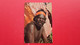 Australian Aboriginal Tribesman - Non Classificati