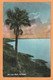 Bermuda Old Postcard Mailed - Bermuda