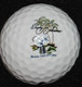 Collector 6 NIKE Precisor Power Distance Soft Island Golf Balls - Tommy Bahama. - Habillement, Souvenirs & Autres