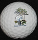 Collector 6 NIKE Precisor Power Distance Soft Island Golf Balls - Tommy Bahama. - Bekleidung, Souvenirs Und Sonstige