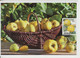 2021 , Moldova ,  UN: 2021 - International Year Of Fruits And Vegetables , Maxicard - Moldova