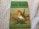 The Wise Robin A Stry By Noel Barr A Ladybird Illustrations P.B Hickling Printed In England - Autres & Non Classés