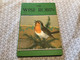 Delcampe - The Wise Robin A Stry By Noel Barr A Ladybird Illustrations P.B Hickling Printed In England - Otros & Sin Clasificación