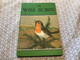 Delcampe - The Wise Robin A Stry By Noel Barr A Ladybird Illustrations P.B Hickling Printed In England - Sonstige & Ohne Zuordnung