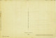 CHIOSTRI SIGNED 1920s/30s POSTCARD - FIORI DI CAMPO -  EDIT BALLERINI & FRATINI - N. 9017 (1765) - Chiostri, Carlo