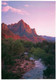 CPSM Zion National Park    L820 - Zion