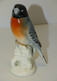 JOLIE STATUETTE OISEAU PORCELAINE GERMANY BOUVREUIL COLLECTION VITRINE DECO XXe Marque à Définir - Altri & Non Classificati