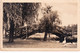A13273- MUHLENBACHBRUCKE BRIDGE LYCHEN BRANDENBURG ARCHITECTURE GERMANY, SENT TO SACALAZ 1960 ROMANIA VINTAGE POSTCARD - Lychen