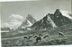 Sur L'Alpe 1959; Moutons - Voyagé. (A. Deriaz - Baulmes) - Riaz