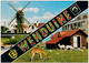 Delcampe - Lot Van 4 Postkaarten Wenduine Groot Formaat CPA - Wenduine