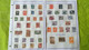 Lots TH 593 POLOGNE Collection Neufs X Ou Obl. Sur Page D'albums - Colecciones (en álbumes)