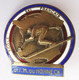 Insigne SKI MONTAGNE ECOLE SKI FRANCAIS C.I.M. DU HOHNECK - Wintersport