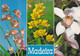 QO - Lote 5 Cartes - PORTUGAL - Madeira:  Funchal / Camara De Lobos / Flowers - 5 - 99 Cartes