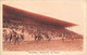 84-CAVAILLON- LHYPPODROME , LES TRIBUNES - Cavaillon