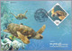 Sud Corea South Korea (2021) Protected Marine Species / Marine Life (sea Turtles) - 4 Maxicard / Maximum Cards - Vita Acquatica