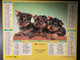 CALENDRIER - ALMANACH Du FACTEUR 1994  - SEINE ET MARNE - CHATS Et CHIENS - Grand Format : 1991-00