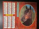 CALENDRIER - ALMANACH Du FACTEUR 1993  - SEINE ET MARNE - CHEVAL Et CHIEN - Grand Format : 1991-00