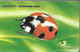 CARTE-MAGNETIQUE-COREE-COCCINELLE-TB E- - Andere & Zonder Classificatie