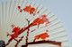 Delcampe - ANCIEN EVENTAIL PAPIER PLIABLE République De CHINE Collection Réf 23061611-84 Collection Déco Vitrine - Fans