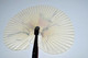 Delcampe - ANCIEN EVENTAIL PAPIER PLIABLE République De CHINE Collection Réf 23061611-84 Collection Déco Vitrine - Fans