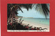 ANTILLES----SAINTE-LUCIE---a White Sand Beach In The Caribbean---voir 2 Scans - Sainte-Lucie