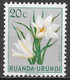 Ruanda-Urundi 1953. Scott #116 (MH) Vellozia, Flowers - Unused Stamps