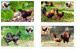 Viet Nam Vietnam Maxi Maxicards Issued On Aug 25, 2021 : Chicken / Rooster / Cock (Ms1146) - Vietnam