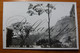 Petropolis. Estrada Rio.  Brasil Bresil. RPPC - Recife