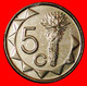 * SOUTH AFRICA (1993-2015): NAMIBIA ★ 5 CENTS 2009 MINT LUSTER DISCOVERY COIN! LOW START ★ NO RESERVE! - Namibie