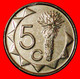* SOUTH AFRICA (1993-2015): NAMIBIA ★ 5 CENTS 2009 MINT LUSTER DISCOVERY COIN! LOW START ★ NO RESERVE! - Namibia