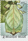 Belg. 2015 - Blok 227** - Plante Ou Animal ? (Mimétisme Chez Les Animaux) Mimicry Bij Dieren 4522/26** MNH - 1961-2001