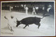 Tauromachie - Corrida - Courses De Taureaux - Provence-Alpes-Côte D'Azur