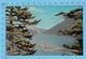 Kamloops, B.C. - Fishing Spot, Boating, Swimming And Relaxation, PostCard, Carte Postale - Kamloops