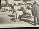 Cpa  Château Chinon, Le Champ De Foire, Market Place Edition Cecodi D’après 1900 Qualité - Chateau Chinon