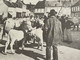 Cpa  Château Chinon, Le Champ De Foire, Market Place Edition Cecodi D’après 1900 Qualité - Chateau Chinon