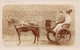 Amboise - Attribué à:     37       Un Couple Dans Une Calèche Hippomobile Attelée - Carte Photo -    (voir Scan) - Amboise