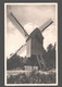 Kasterlee - Oude Standaardmolen - Moulin / Mill - Kasterlee