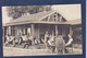 CPA Australie Maitland Carte Photo Non Circulé - Autres & Non Classés